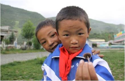 �ɂ�(g��)�W(xu��)���������(f��)����W(xu��)��֧���(du��)�T�����_(d��)�Ѻ����f��һֻСĢ�����挦(du��)�㌍(sh��)�ĺ��ӂ���֧���(du��)�T������ϣ���ǡ��������҂�������҂��������S��(sh��)����