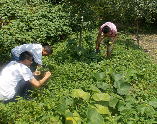 �ڶ�����꠆T���_ʼ�������B(t��i)�r(n��ng)���w��r(n��ng)�����������ժ����