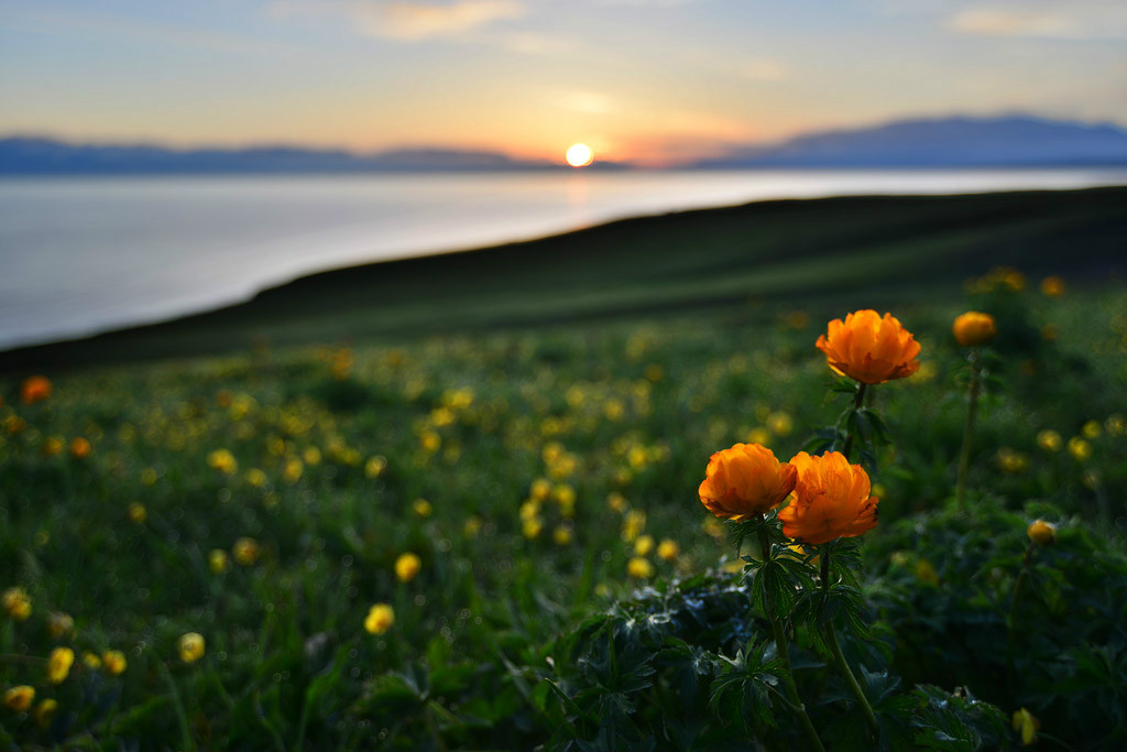 你會(huì)唱家鄉(xiāng)的歌嗎?