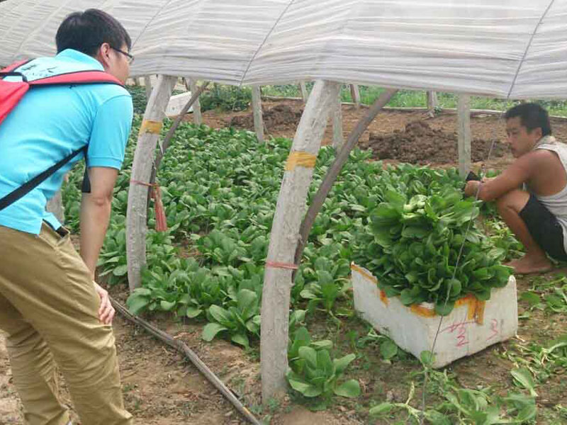 ���`꠆T�c��(d��ng)?sh��)��r(n��ng)��e�O��ͨ������������}���˽��߲˴�������P(gu��n)��r��