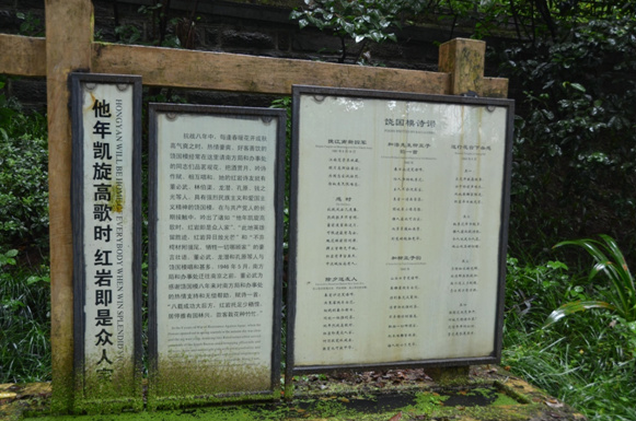 �D6 ��(��i)��(gu��)Ů��(sh��)�I(y��)������(gu��)ģͬ־����Ԋ(sh��)�~���ޝ�� �z��