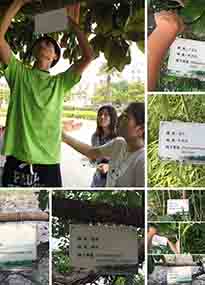 �K���r(n��ng)�W(xu��)Ժ�O(sh��)Ӌ(j��)У�@ֲ����Ƭ�������K�r(n��ng)�Gɫ���}