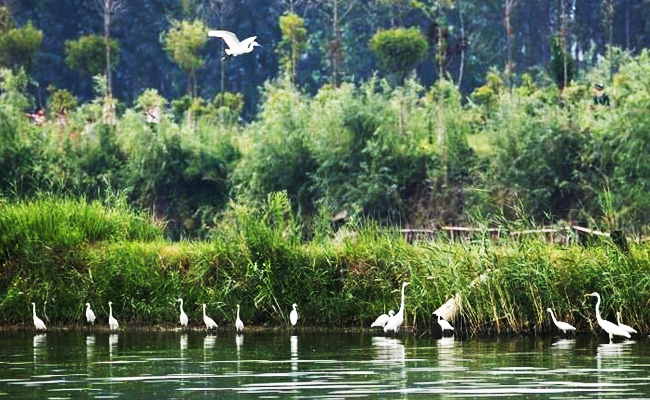 ͯԒ�ϼң���������Ԋ�����Ϙ���f����