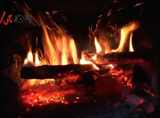 �t��t����~����������ʳ���ρ�