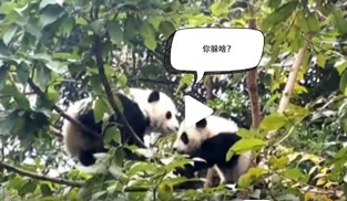 �L�L��̫�ɐ��ˣ�С��ȫ�̡���ĸЦ����