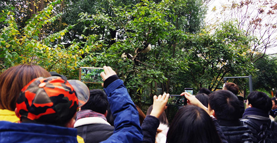 �@�����ӵ������ɶ����W(w��ng)�j(lu��)���ˁ��c(di��n)ٝ