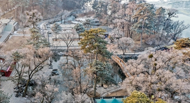 河北承德：避暑山莊現(xiàn)霧凇景觀(guān)