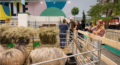 柏林國(guó)際綠色周迎來(lái)創(chuàng)辦100周年